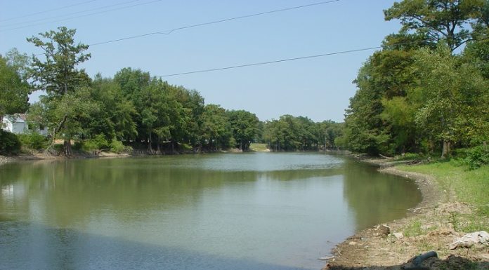 Advance Man Seriously Injured After Being Struck by a Boat While Swimming