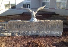 Dora Back to School Fair this Saturday