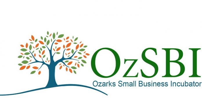 OzSBI to hold Supervision Boot Camp in September and October
