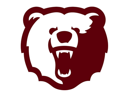 wsbears2w