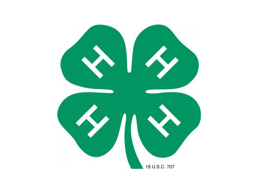4H_2017