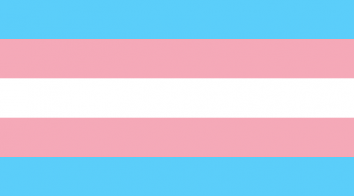 Judge Grants Temporary Restraining Order Against the Missouri Attorney General’s Anti-Transgender Rule