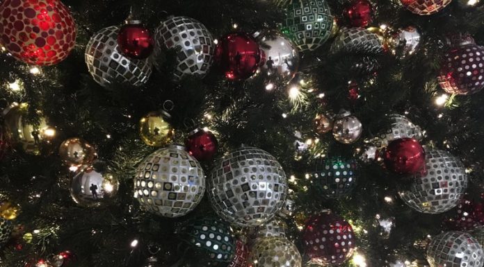 Governor Parson Proclaims December as Christmas Tree Month in Missouri