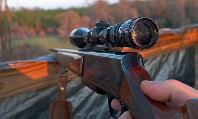 MDC stresses safety for non-hunters during hunting seasons