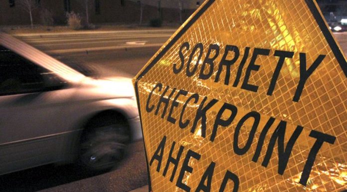Cabool Woman Charged on Multiple Offenses Sunday Evening