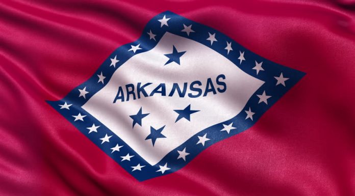 Briefs filed to continue block on Arkansas abortion laws