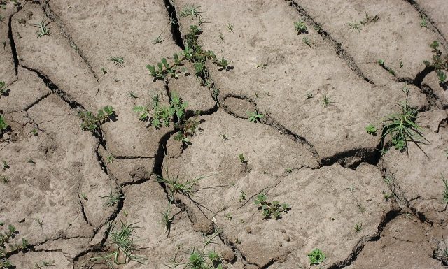 Latest Ozarks Drought Update