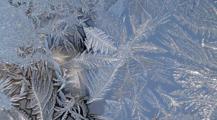 4 killed in weather-related crashes; numerous schools close