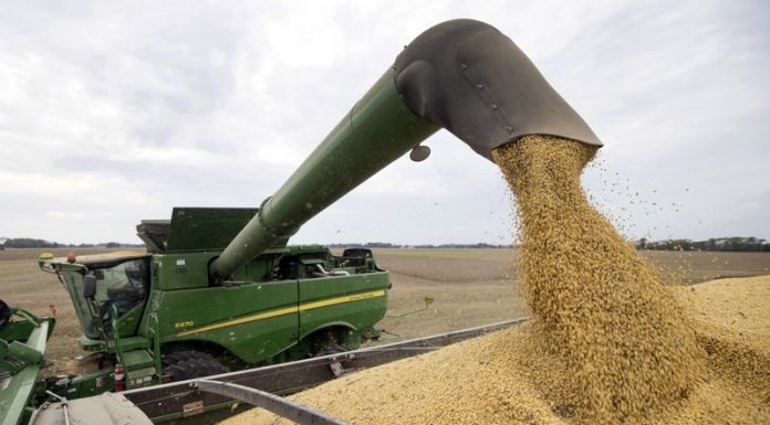 Missouri Department of Agriculture Announces Grants for Missouri Specialty Crop Producers