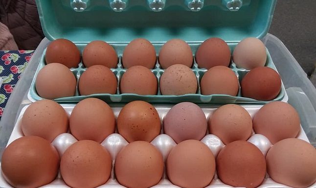Egg Prices Projected To Further Increase, as Easter Demand is Preceded by Bird Flu