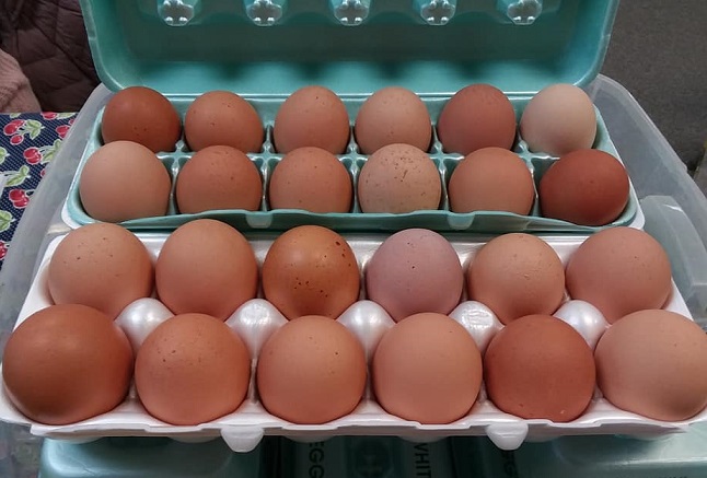 wafmegg212