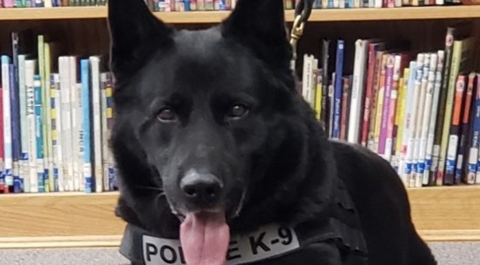 WP dog park to be named for K-9 officer