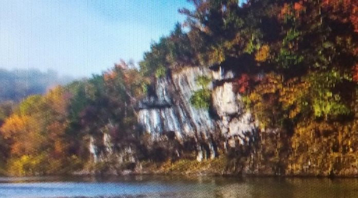 Collaborating to conserve scenic rivers in southeast corner of Missouri