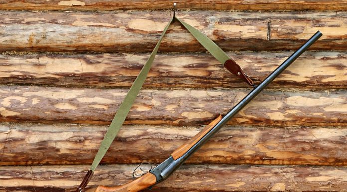 Getting ready for fall hunting on the Forest