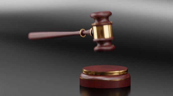 Mountain View Man Pleads Guilty to Murder in National Park