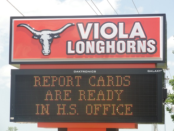 violaschool