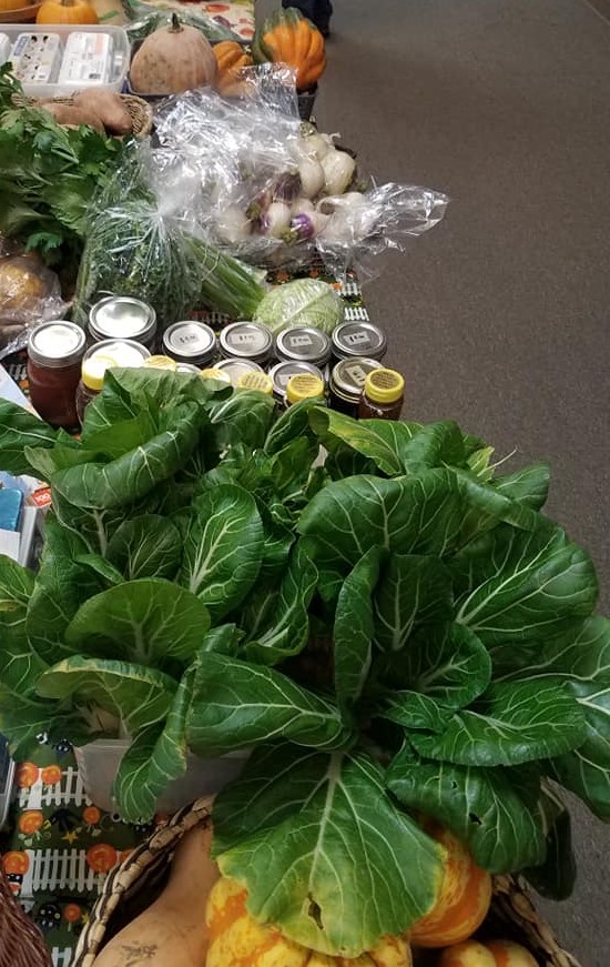 fallveg1126