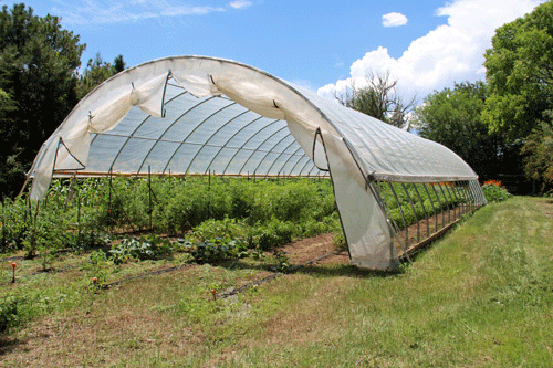 High tunnel workshop this Thursday