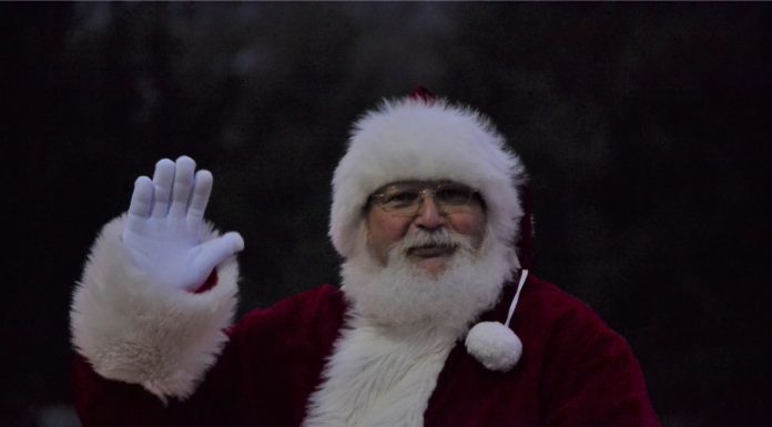 PHOTO GALLERY: 2019 West Plains Christmas Parade
