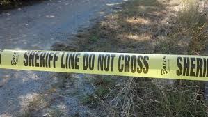 Mt. Home woman arrested on several felony charges