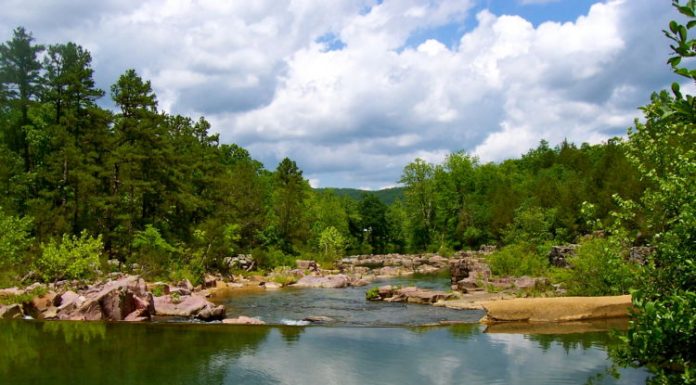 Forest Service updates from ACW Ranger District