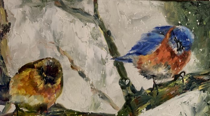 OzSBI to feature work of Cindy Temple