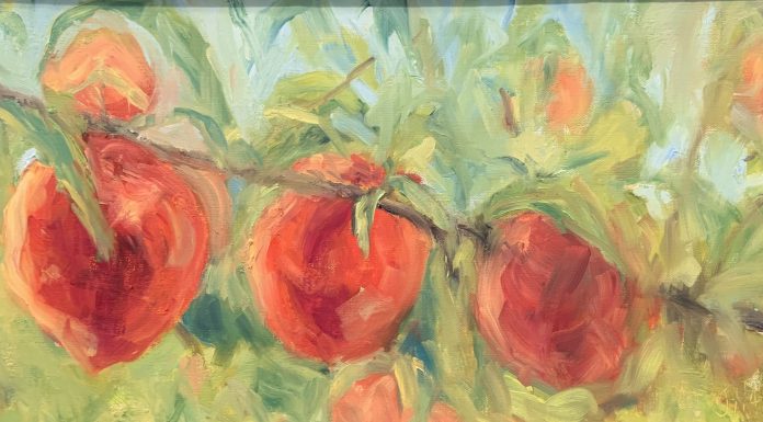 Sole Cafe hosting art exhibits in 2020