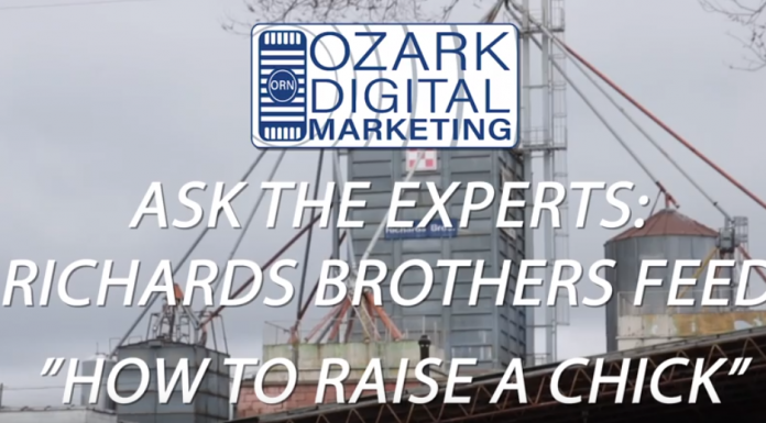 Ask The Experts: Richards Brothers Raising a Chick
