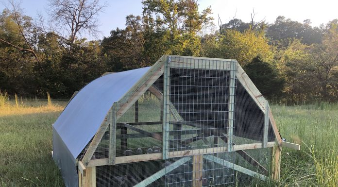 WPAFM introduces Kelly Hollow Farms