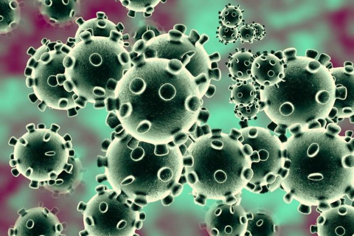 corona-virus