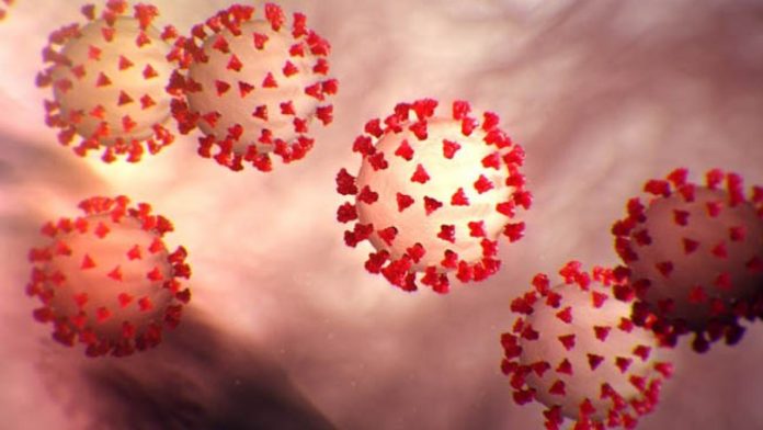 generic-coronavirus-cdc