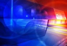 Norwood man charged with animal neglect after dogs allegedly attack goats