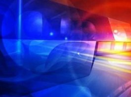 Mountain Grove Woman Facing Abuse Charge