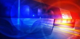 Norwood man charged with animal neglect after dogs allegedly attack goats