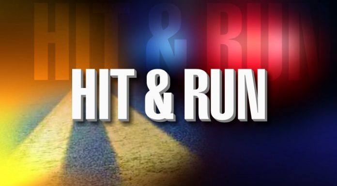 WPPD Looking For Vehicle from Thursday Morning Hit & Run