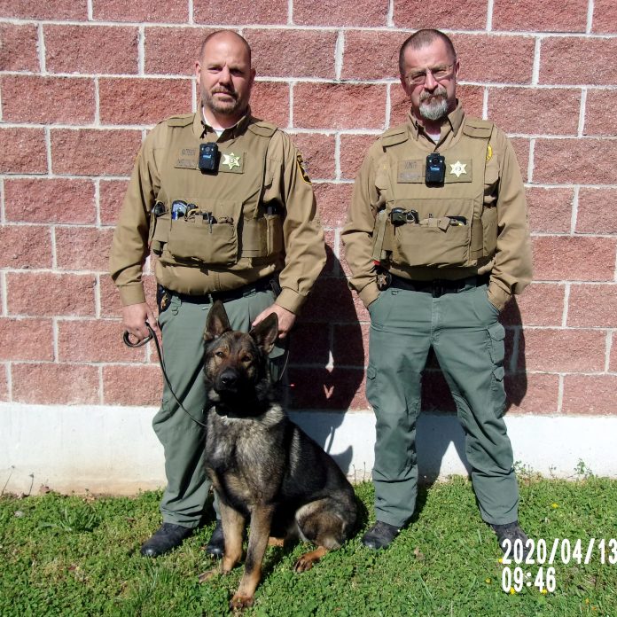 k9