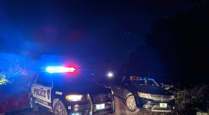 West Plains police investigating double homicide
