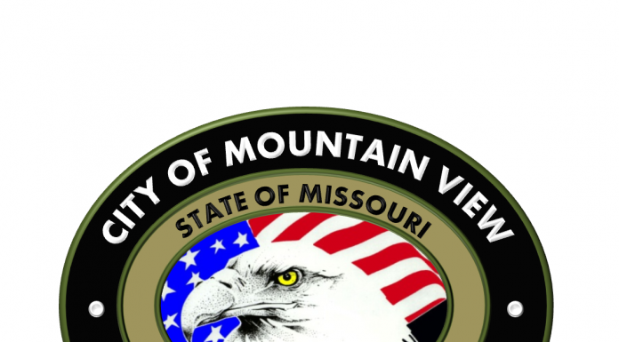 Mtn. View adds two officers to police force