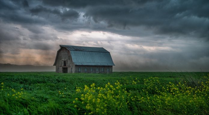 2020 Focus on Missouri Agriculture Photo Contest winners announced