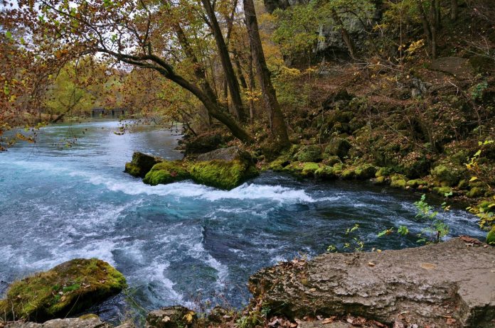 Big Spring by Patty Bishop