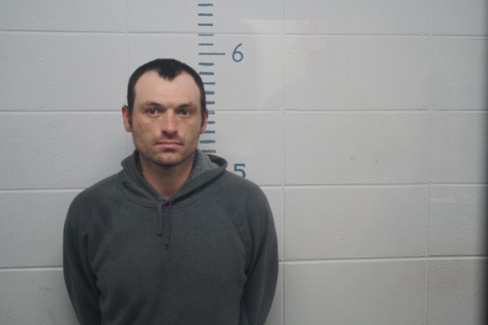 COLLINS, SHANE L
