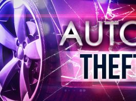 West Plains Teen Charged with Auto Theft