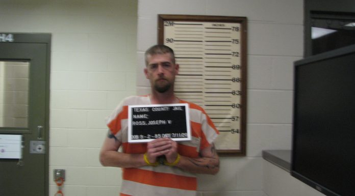 Mtn. Grove man arrested after attempting to drive into business
