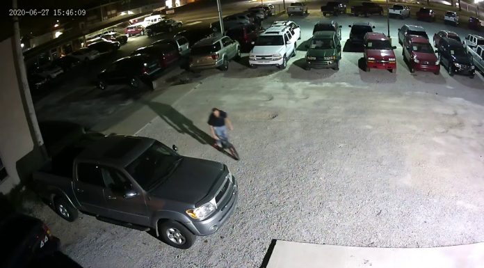WPPD seeking public assistance in auto theft