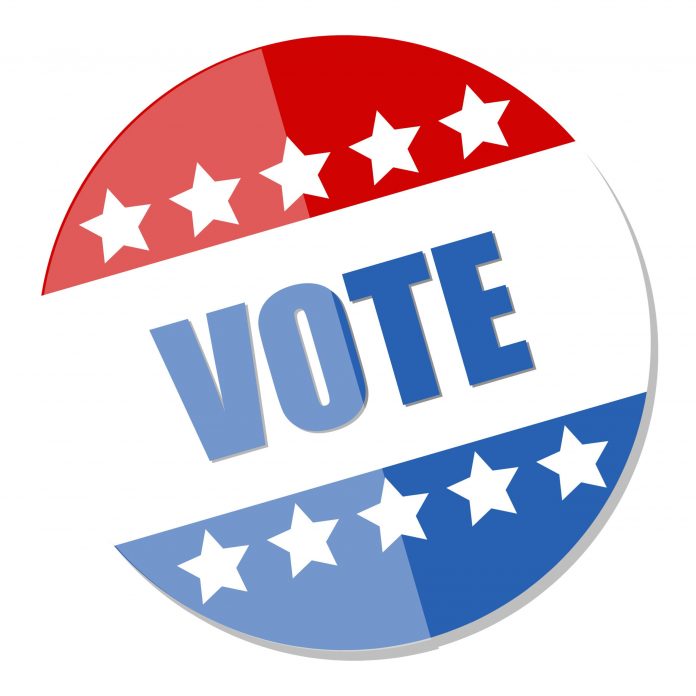 vote-badge-election-day-vector-illustration_fkvHDRdd_L-1-scaled