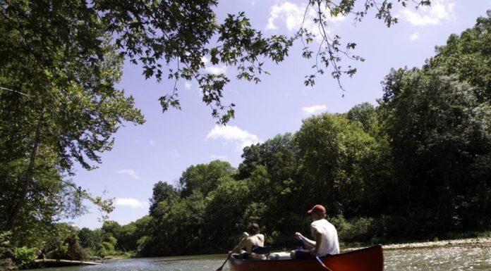 Learn how to read a river at Aug. 26 MDC virtual program