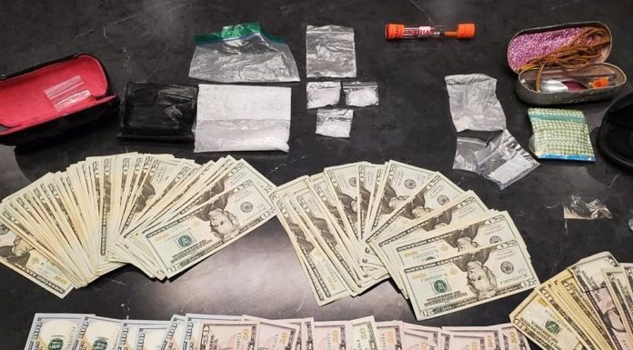 Traffic stop leads to drug arrests