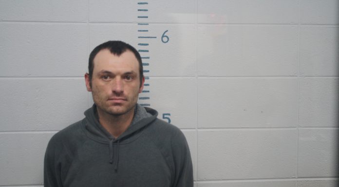 Howell County Most Wanted Sept. 16: Shane L. Collins