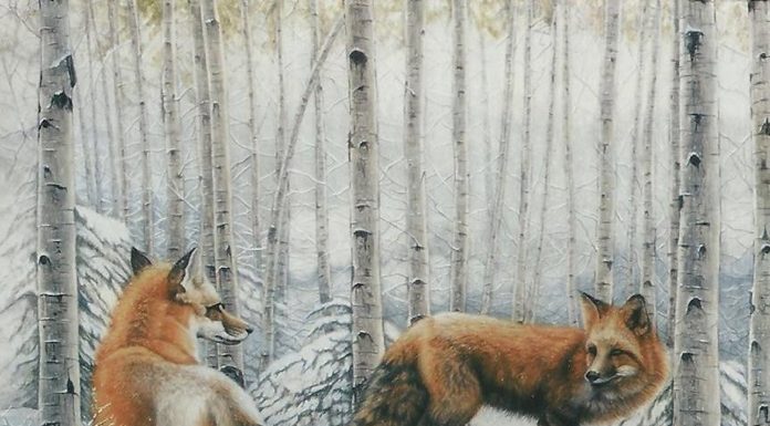 Art display at OzSBI to feature work of Nanci Harlin