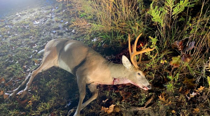 MDC wants your help catching poachers